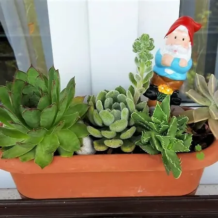 Apartamento Countryside Vitez