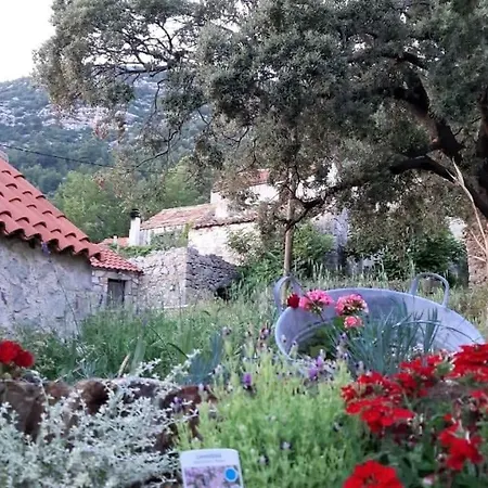 Countryside Vitez Babino Polje
